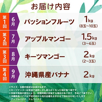 【発送月固定定期便】JAおきなわ厳選!季節の南国フルーツ 西原町の旬の味覚をお届け全4回