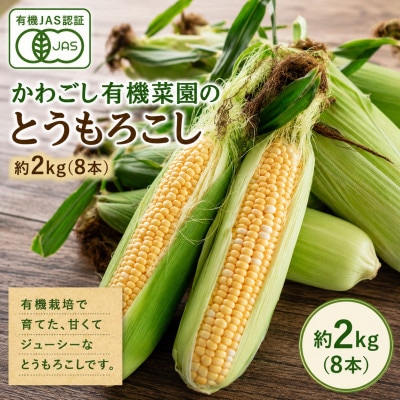 【2027年3月上旬より順次発送】有機JAS認証 かわごし有機菜園のとうもろこし 約2kg(8本)
