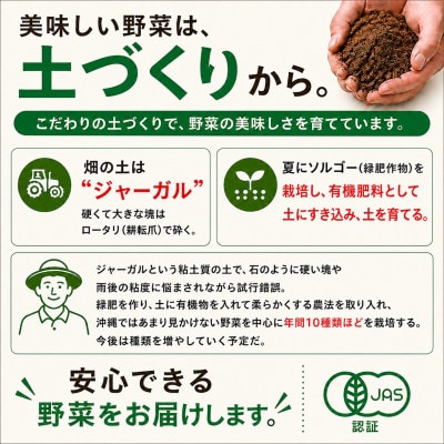 【2027年3月上旬より順次発送】有機JAS認証 かわごし有機菜園のとうもろこし 約2kg(8本)