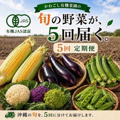 【発送月固定定期便】旬の沖縄野菜(とうもろこし・ナス・オクラ・カリフローレ・スナップエンドウ)全5回