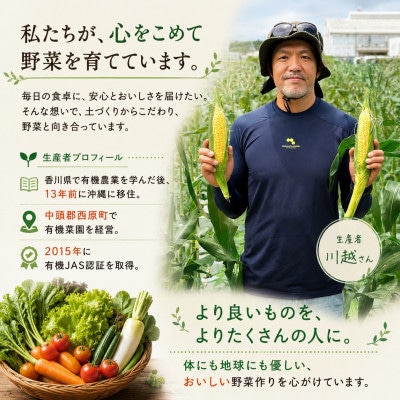 【発送月固定定期便】旬の沖縄野菜(とうもろこし・ナス・オクラ・カリフローレ・スナップエンドウ)全5回