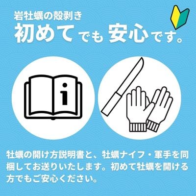 【ふるさと納税】のし付き お歳暮 海士のいわがき フルシェル Lサイズ16個 生食 牡蠣 冷凍