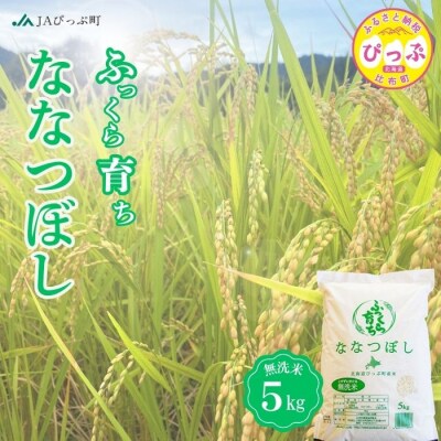 2024年産　JAぴっぷ町　ななつぼし　無洗米5kg