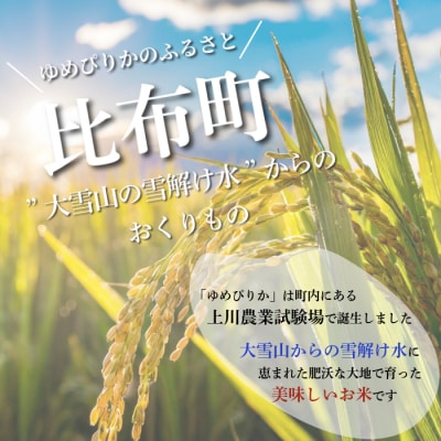 【2024年産】ナナプラザ　ゆめぴりか　10kg