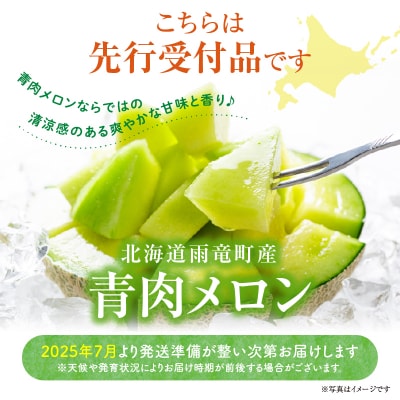 【先行受付】北海道産 暑寒メロン 8～10玉 (8kg以上×2箱) 《2025年7月より発送予定》
