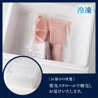 訳あり南マグロ中トロ切り落とし約700g(a10-1000)