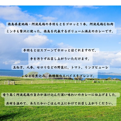 阿波尾鶏骨つき地鶏のごちそうカレー　5食