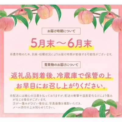【2025年発送】福智町産 さくひめ (2kg)