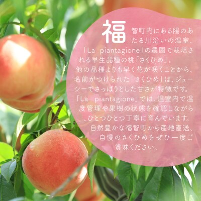 【2025年発送】福智町産 さくひめ (2kg)