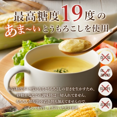 きみひめのコーンポタージュ　160g　10袋セット