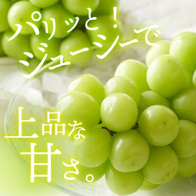 〈2025年度配送分〉甲府市産 シャインマスカット 1房(600g以上)