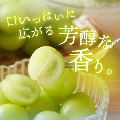 〈2025年度配送分〉甲府市産 シャインマスカット 1房(600g以上)