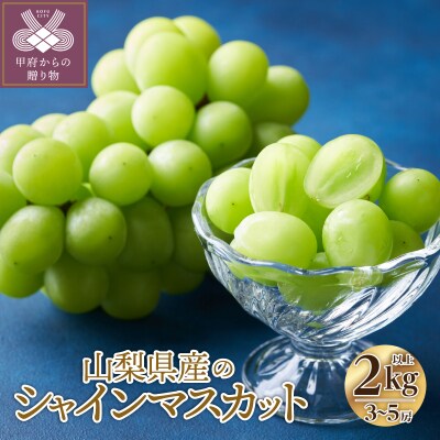〈2026年度配送分〉山梨県産 シャインマスカット 3～5房(2.0kg以上)