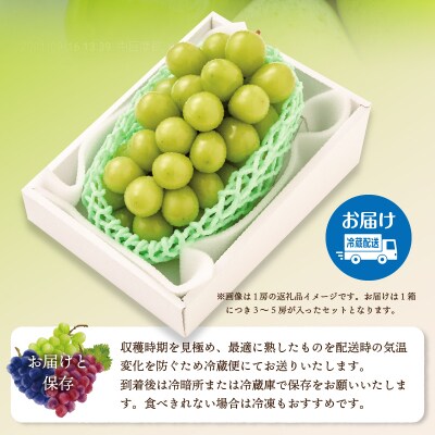 〈2026年度配送分〉山梨県産 シャインマスカット 3～5房(2.0kg以上)