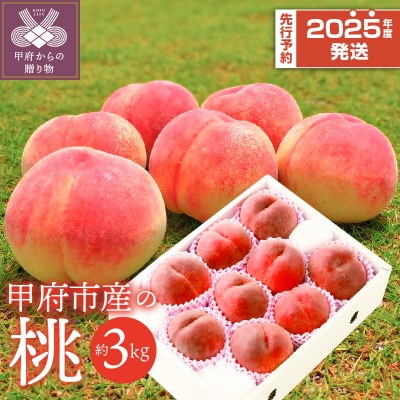 〈2025年度配送分〉甲府市産 桃 約3kg(8～12玉)
