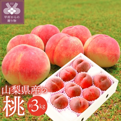 〈2026年度先行受付〉甲府市産 桃 約3kg(8～12玉)