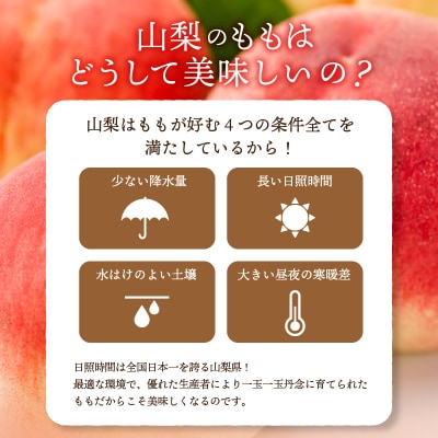 〈2025年度配送分〉甲府市産 桃 約3kg(8～12玉)
