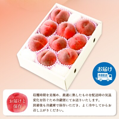 〈2025年度配送分〉甲府市産 桃 約3kg(8～12玉)
