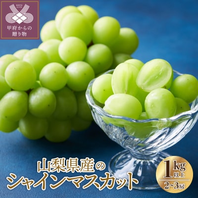 〈2026年度配送分〉山梨県産 シャインマスカット 2～3房(1.0kg以上)