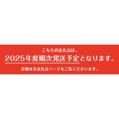 〈2025年度配送分〉甲府市産 シャインマスカット 2房(1.0kg以上)