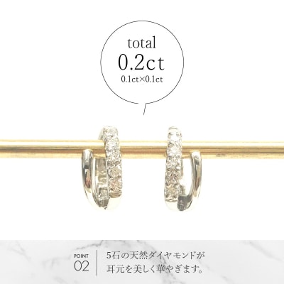 Pt950ダイヤ×地金ツイン　イヤリング EA-1135
