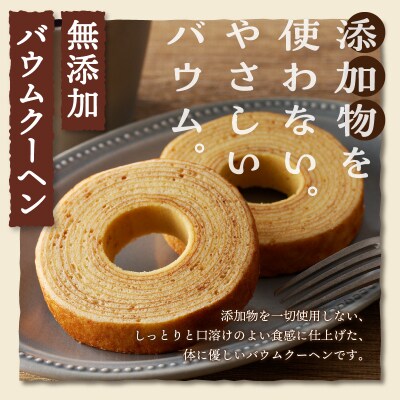 【シャトレーゼ】ガトーアソート8個入