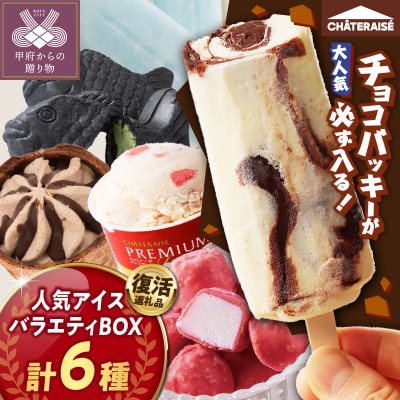 〈2026年5月発送〉チョコバッキーが必ず入る! 人気アイスバラエティBOX 6種