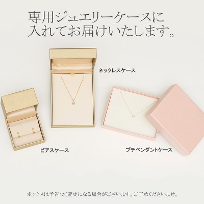 プラチナ シンプルデザインピアス 45-4895