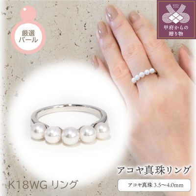 K18WG　アコヤ真珠　リング(#1:03013109)