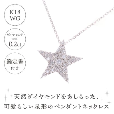 K18WG(ホワイトゴールド) ダイヤネックレス 星(P6140)