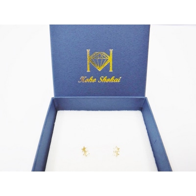 【即納】K18星モチーフピアス地金(PE7492)