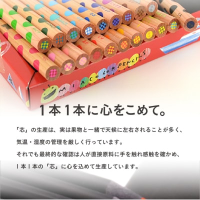 ミックス色鉛筆セット(20色入+鉛筆けずり付)