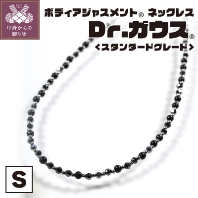 Dr.ガウス スタンダードグレード　Sサイズ