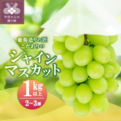 【☆先行受付☆2026年/令和8年発送分】シャインマスカット(こだわり)1.0kg以上〈2～3房〉