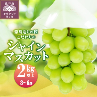 【☆先行受付☆2026年/令和8年発送分】シャインマスカット(こだわり)2.0kg以上〈3～6房〉