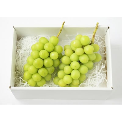 【2026年配送分】甲府市産自然塾のシャインマスカット1.2kg(2房～3房)