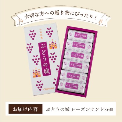 【シャトレーゼ】 山梨県 限定 レーズンサンド 6個 贅沢 2種 レーズン使用