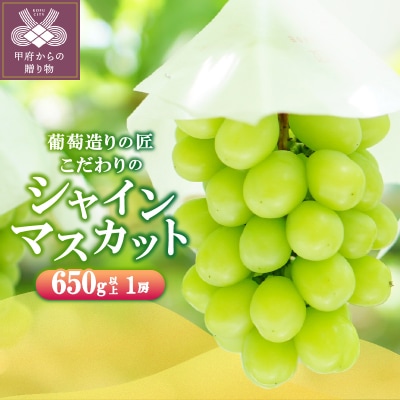 【☆先行受付☆2025年/令和7年発送分】シャインマスカット(こだわり)1房　650g以上
