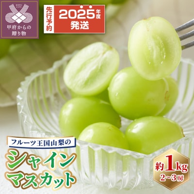 〈2025年度配送分〉シャインマスカット1kg(2~3房)