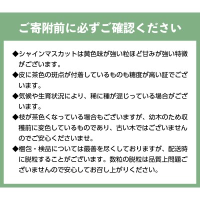 〈2025年度配送分〉シャインマスカット1kg(2~3房)