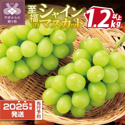 カゴ細工 葡萄皮 天然 国産 美品 希少 伝統工芸品 ぶどう×くるみ カゴ細工 葡萄皮 天然 国産 美品 希少 伝統工芸品 ぶどう×くるみ