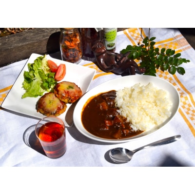 ヴィーガン野菜カレー3食&豆腐と地鶏のイタリアンハンバーグ6個入りセット
