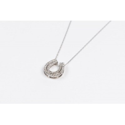 0.3ct PT900 二連馬蹄ネックレス HY-2