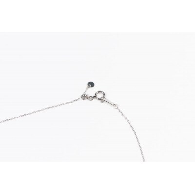 0.3ct PT900 二連馬蹄ネックレス HY-2