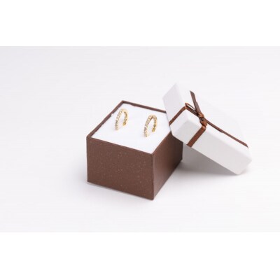 0.3ct K18YGループピアス HY-39
