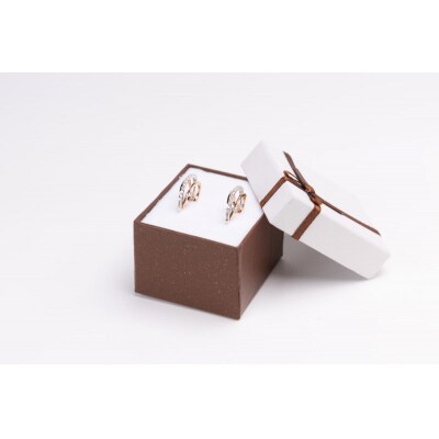 PT900/PG三連ループピアス HY-47