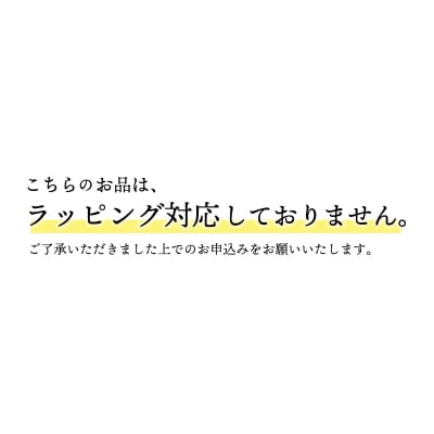18金　イエローゴールド　地金　Wシリコン　イヤリング　SG2944