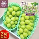 【2025年配送分】シャインマスカット 2房 約1.1kg