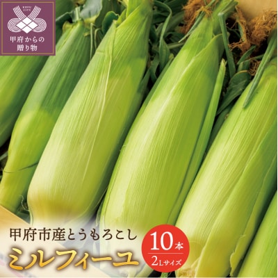 〈2025年度発送分〉甲府市産もろこし(品種:ミルフィーユ)2Lサイズ　10本入