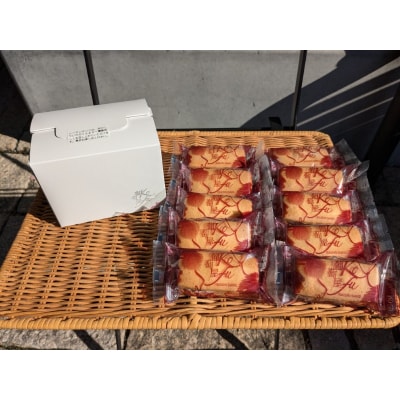 葡萄屋kofuラムレーズンサンド10枚入り(ご自宅用)